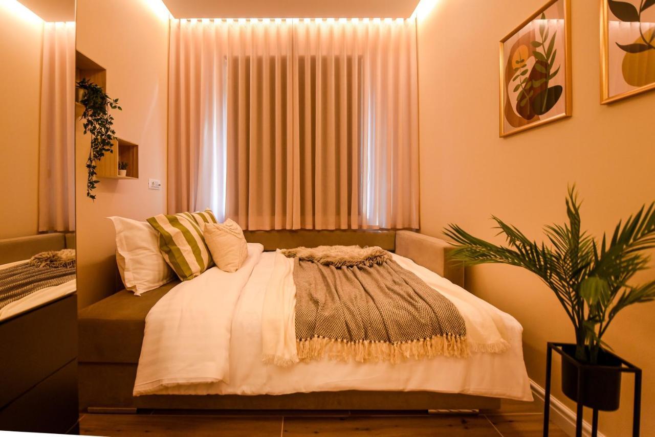 Green Leafy Brasov - Ideal 2 Bedroom Apartment 외부 사진